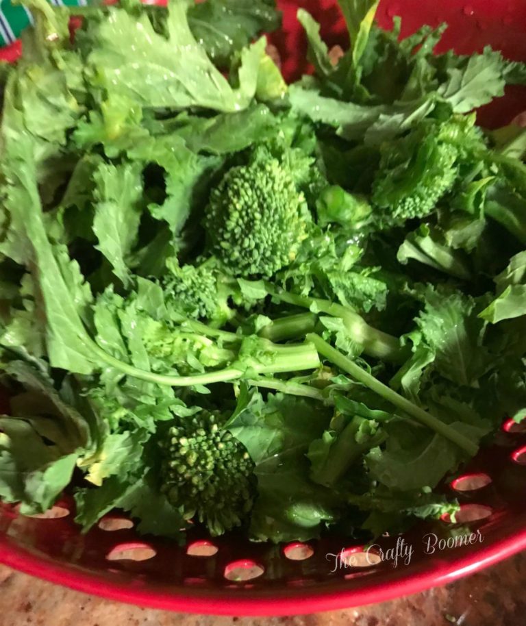 Broccoli Rabe are thin leafy stalks topped with small florets. It's an Italian vegetable with a slightly bitter taste.