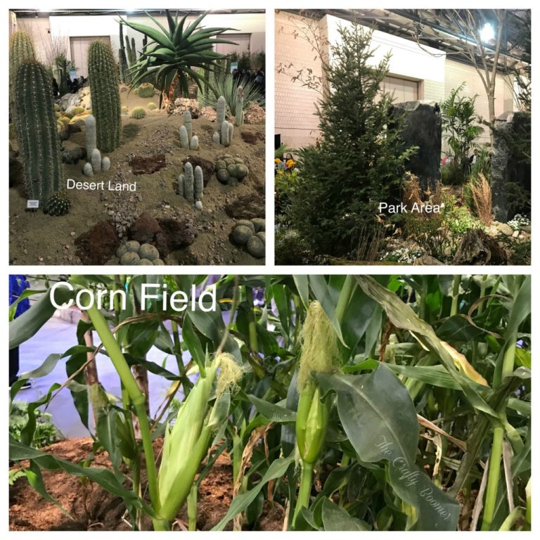 A visit to the Philly flower show