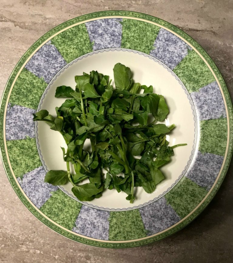 A salad green with a sharp peppery, tangy taste.